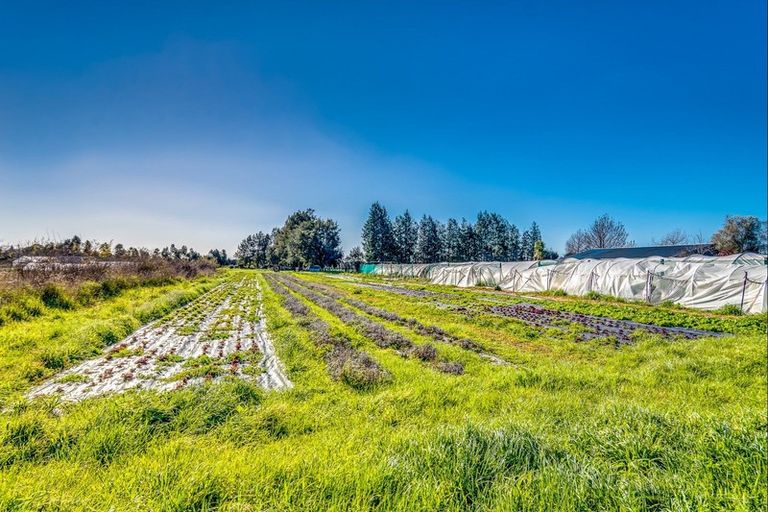 Photo of property in 11 Kauru Road, Waipatu, Hastings, 4172