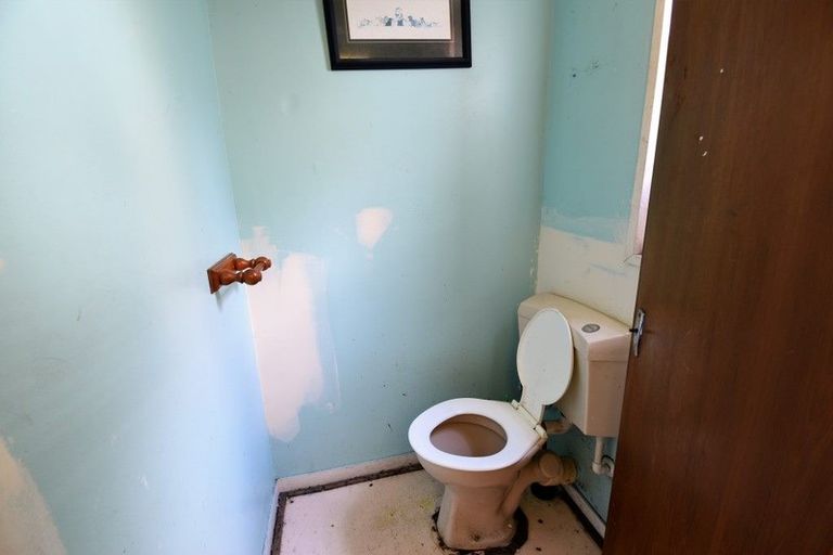 Photo of property in 13 Henderson Street, Mornington, Dunedin, 9011