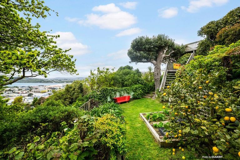 Photo of property in 50 Rodrigo Road, Kilbirnie, Wellington, 6022