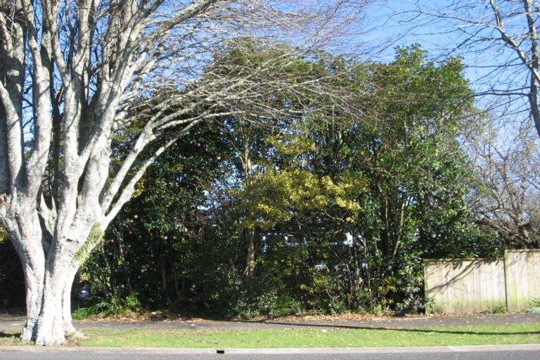 Photo of property in 65 Firth Street, Hamilton East, Hamilton, 3216