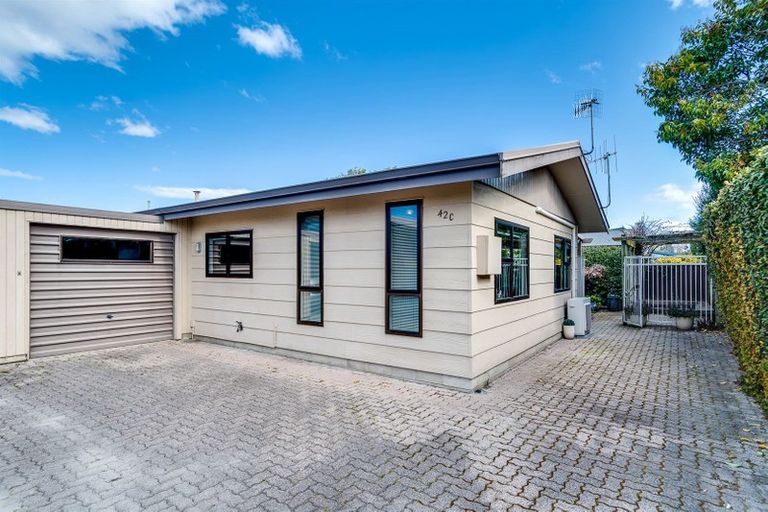 Photo of property in 42c Auckland Road, Greenmeadows, Napier, 4112