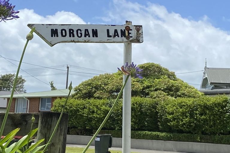 Photo of property in 3 Morgan Lane, Ferndale, New Plymouth, 4310
