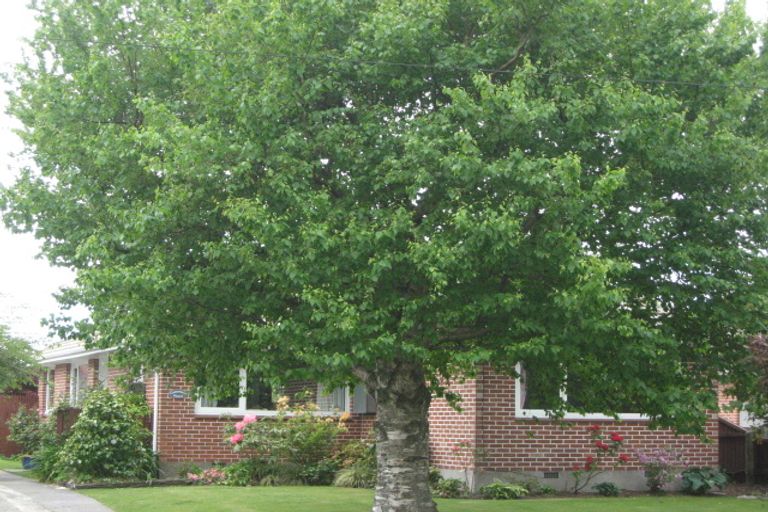 Photo of property in 47 Dunedin Street, Redwood, Christchurch, 8051