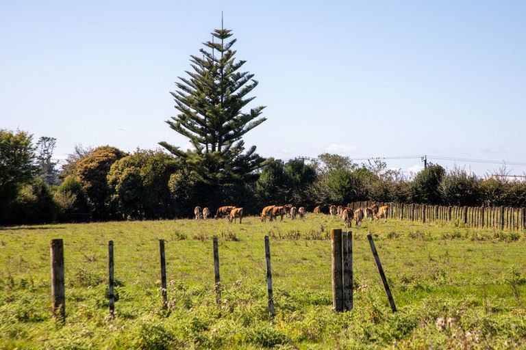 Photo of property in 16 Woolrich Road, Te Kowhai, Hamilton, 3288