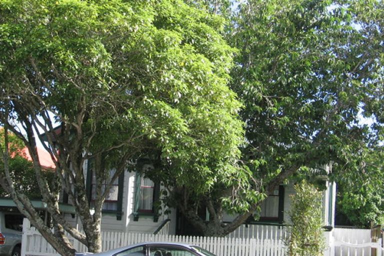 Photo of property in 3 Burnley Terrace, Mount Eden, Auckland, 1024