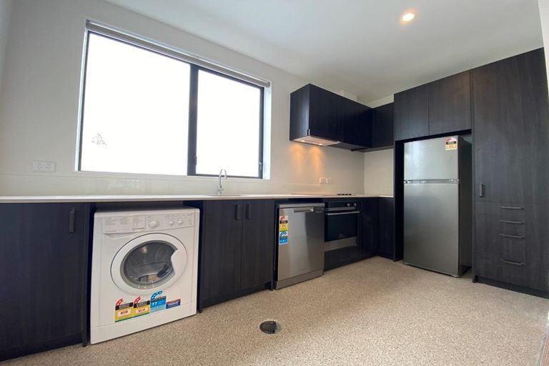 Photo of property in Aniva Terrace, 13 Arney Street, Newtown, Wellington, 6021