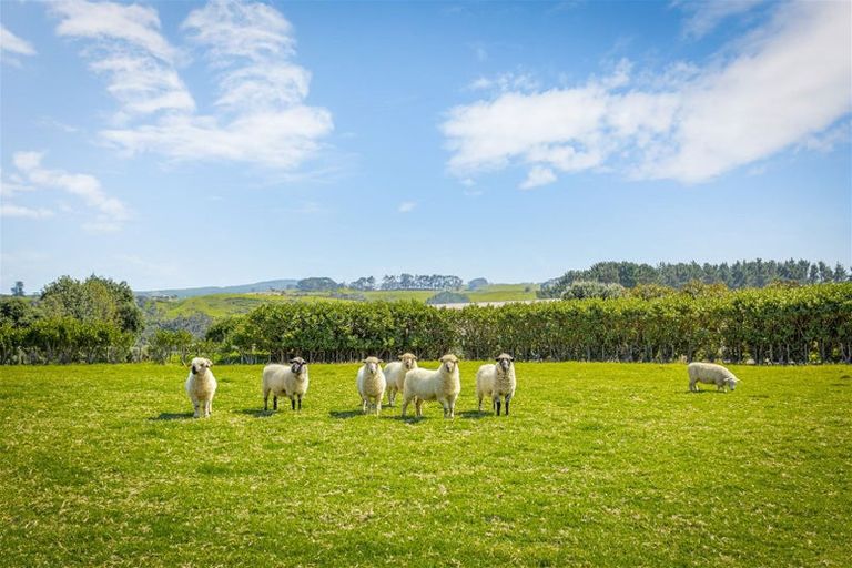 Photo of property in 135c Hutchinson Road, Helensville, 0875