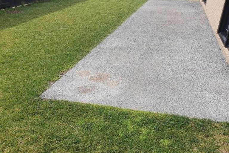 Photo of property in 8 Medland Place, Chartwell, Hamilton, 3210