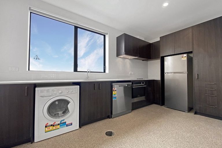 Photo of property in Aniva Terrace, 19 Arney Street, Newtown, Wellington, 6021