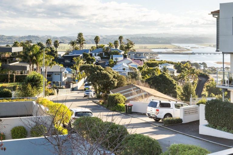 Photo of property in 19 Hospital Terrace, Hospital Hill, Napier, 4110