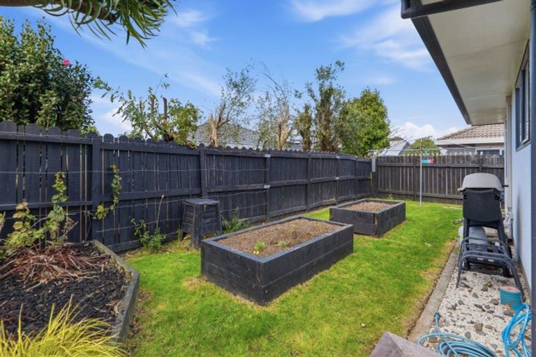 Photo of property in 19 Lantana Place, Mount Maunganui, 3116