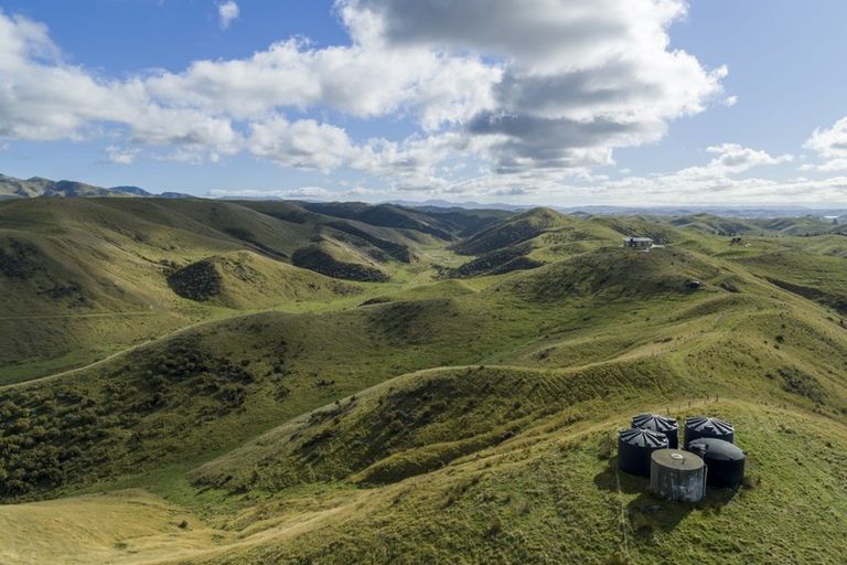 Photo of property in 6886 State Highway 1, Ward, Seddon, 7285