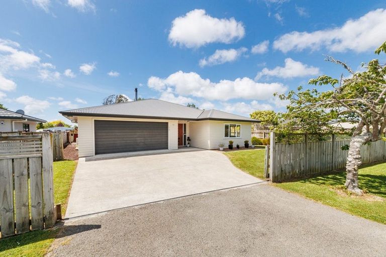 Photo of property in 34 Humber Street, Rongotea, 4476