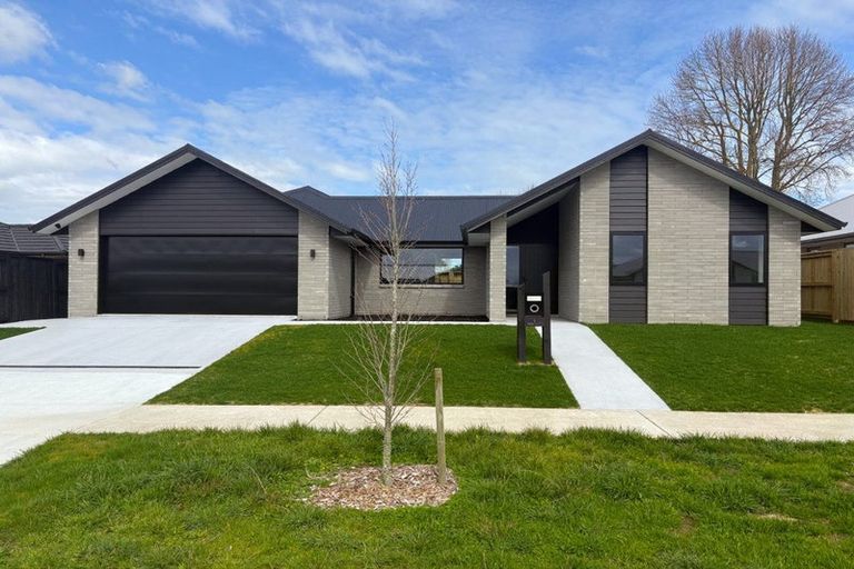 Photo of property in 1 Hauhake Terrace, Leamington, 3495