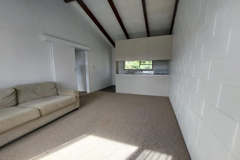 Photo of property in 17 Sandringham Road, Mount Eden, Auckland, 1024