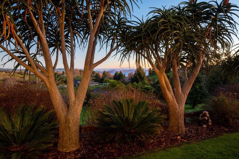 Photo of property in 8 Ascot Vale, Tikitere, Rotorua, 3074