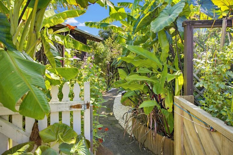 Photo of property in 6 Punga Place, Whitianga, 3510