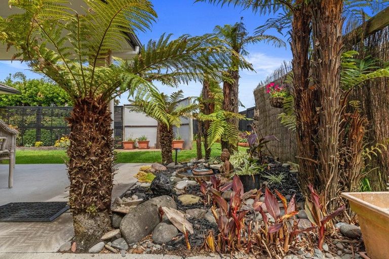 Photo of property in 14 Viking Lane, Flagstaff, Hamilton, 3210