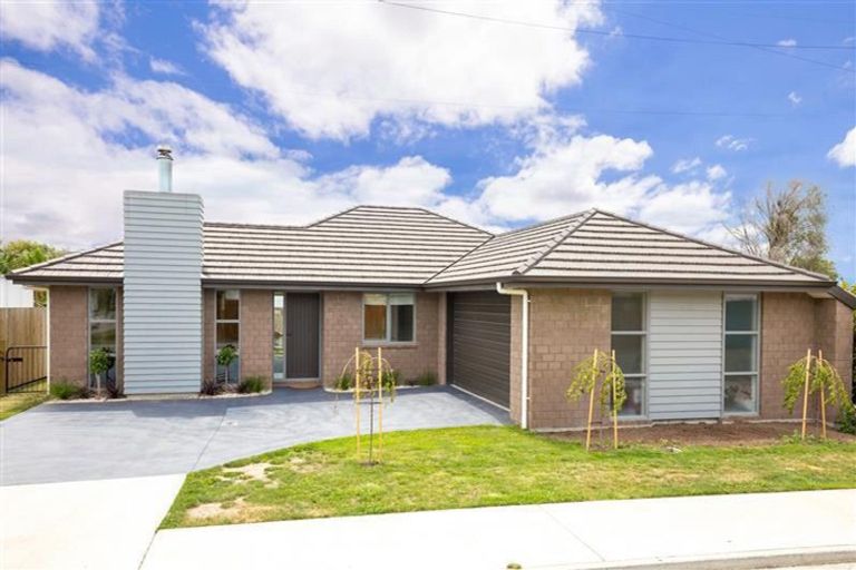 Photo of property in 13 Kirk Street, Renwick, 7204