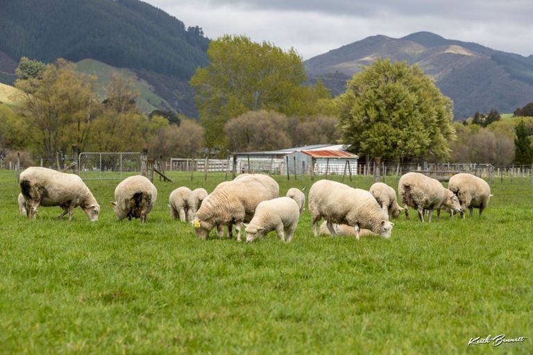 Photo of property in 76 Gorrie Road, Mangaroa, Upper Hutt, 5371