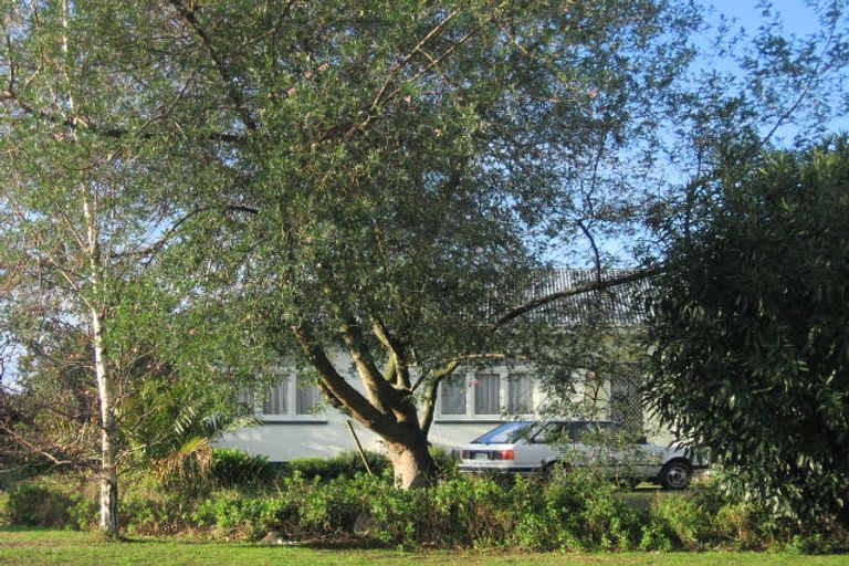 Photo of property in 711 Duke Street, Mahora, Hastings, 4120