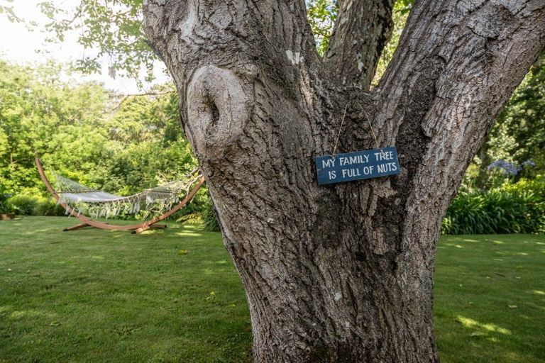 Photo of property in 111 Kingsley Street, Leamington, Cambridge, 3432