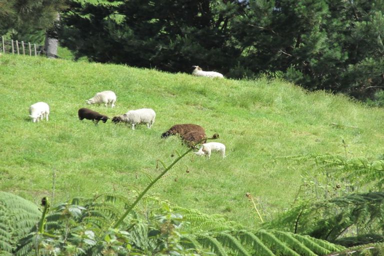 Photo of property in 469e Minden Road, Minden, Tauranga, 3176