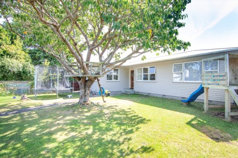 Photo of property in 116 Ruamahanga Crescent, Terrace End, Palmerston North, 4410
