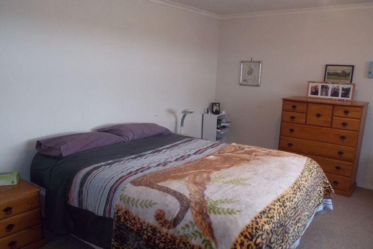 Photo of property in 486 Tremaine Avenue, Takaro, Palmerston North, 4410