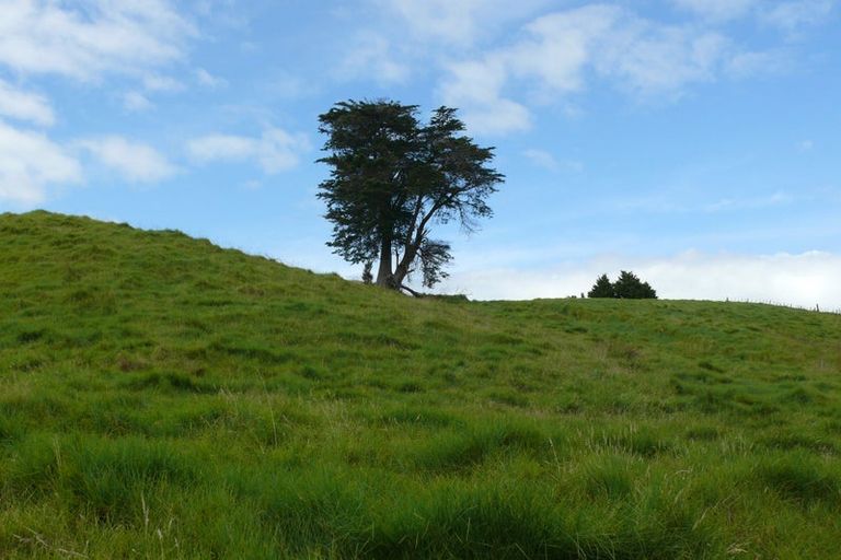 Photo of property in 1563 Duncan Road, Kaitaia, 0482