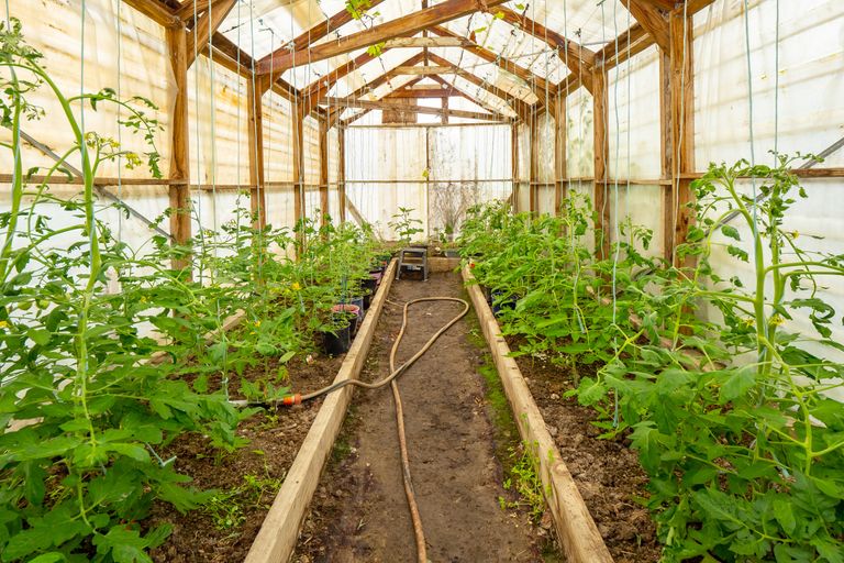 Photo of property in 536 Rosewill Valley Road, Rosewill, Timaru, 7975