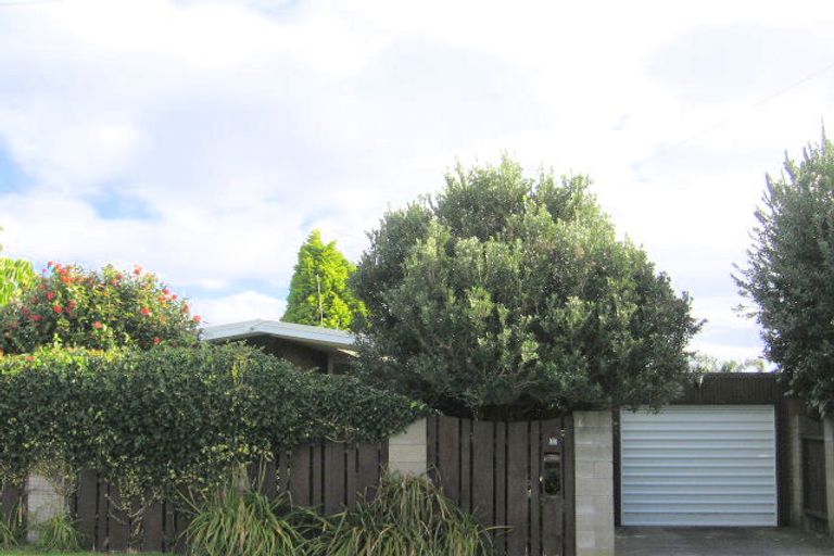 Photo of property in 16 Muricata Avenue, Mount Maunganui, 3116