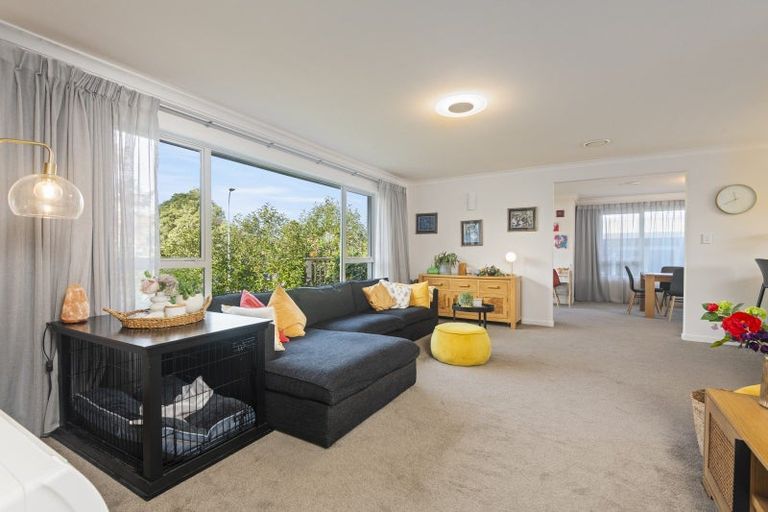 Photo of property in 33 Newcastle Street, Hokowhitu, Palmerston North, 4410