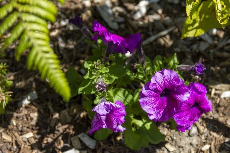 Photo of property in 1 Aqua Way, Paraparaumu, 5032