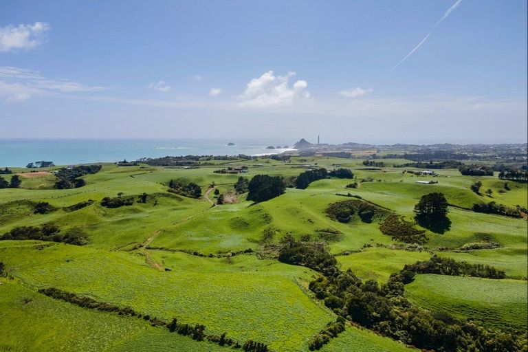 Photo of property in 629 South Road, Omata, New Plymouth, 4374