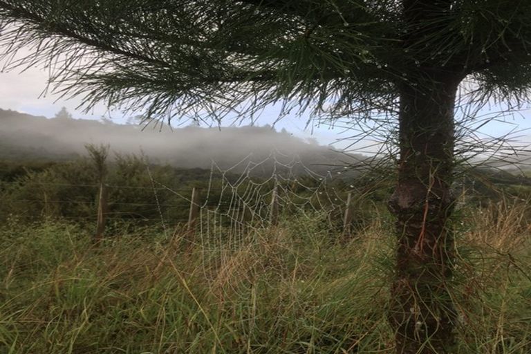 Photo of property in 9 Tunnel Road, Puhoi, Warkworth, 0994