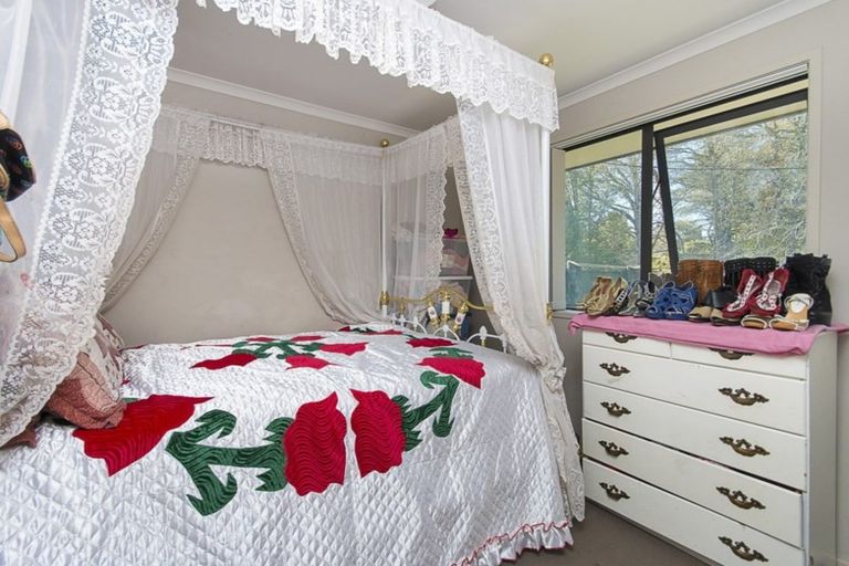 Photo of property in 9 Sapling Drive, Pukekohe, 2120