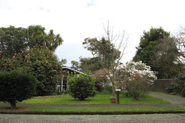 Photo of property in 17 Cardiff Street, Levin, 5510