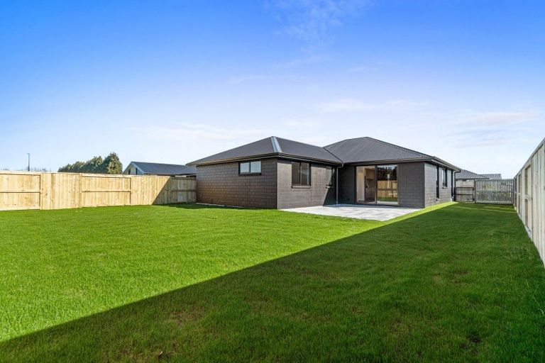 Photo of property in 33 Buxton Crescent, Matamata, 3400