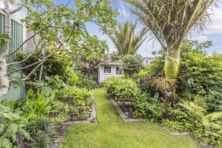 Photo of property in 62 Elizabeth Street, Mount Victoria, Wellington, 6011