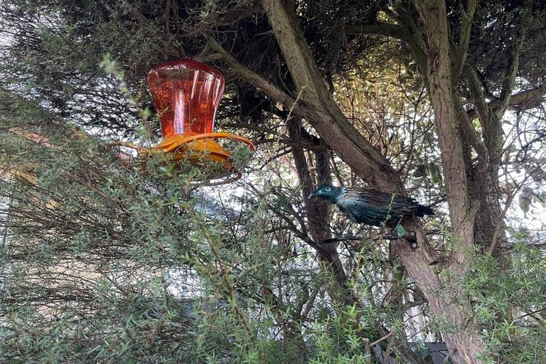 Photo of property in 21b Belt Street, Waimate, 7924