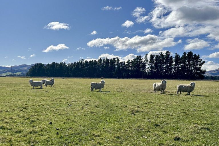 Photo of property in 103 Selbie Road, Lowther, Lumsden, 9793