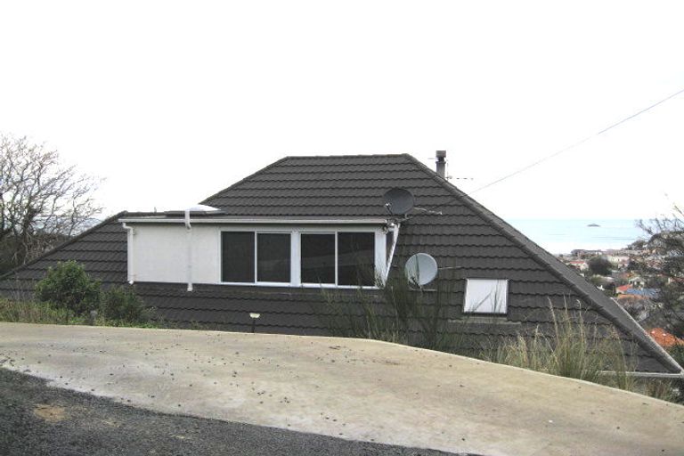Photo of property in 15 Coney Hill Road, Saint Clair, Dunedin, 9012