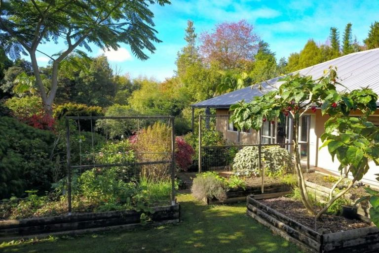 Photo of property in 19 Titoki Place, Kerikeri, 0294