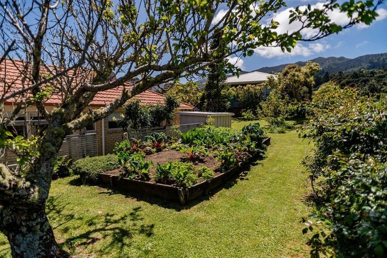 Photo of property in 20 Kauri Grove, Coromandel, 3506