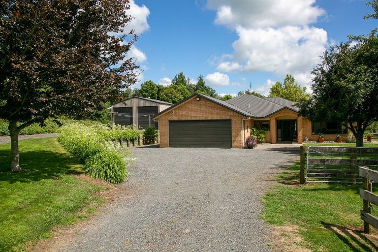 Photo of property in 371 Pukemoremore Road, Tauwhare, Cambridge, 3493