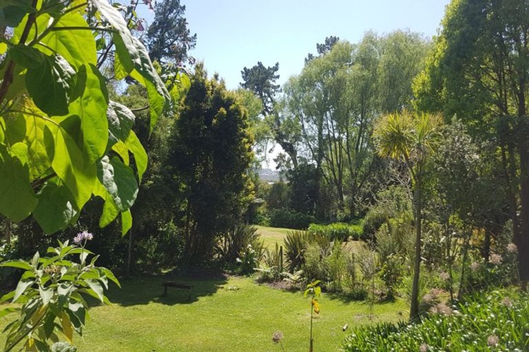 Photo of property in 9 Pearson Street, Mangawhai, 0505