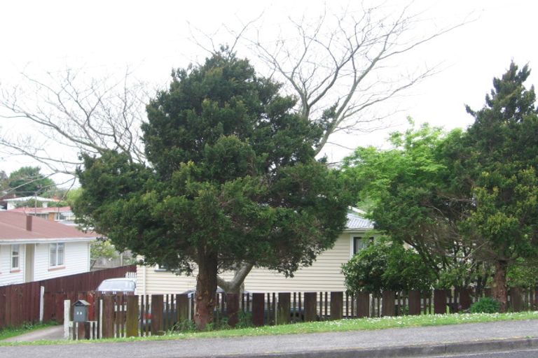 Photo of property in 38 Willoughby Street, Paeroa, 3600