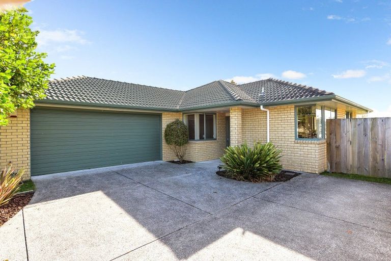 Photo of property in 19 Nobleman Place, Hamilton East, Hamilton, 3216