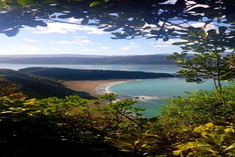 Photo of property in 75 Sidlaw Street, Strathmore Park, Wellington, 6022